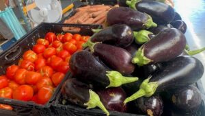Légumes bio du village potager Nemours au Restos du coeur 77