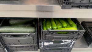 Courgettes et concombres bio prêts à être distribués aux personnes accueillies